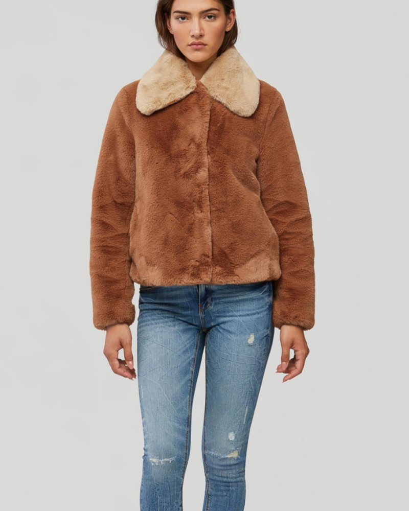 Racquel Collared Faux Fur Jacket - AshleyCole Boutique