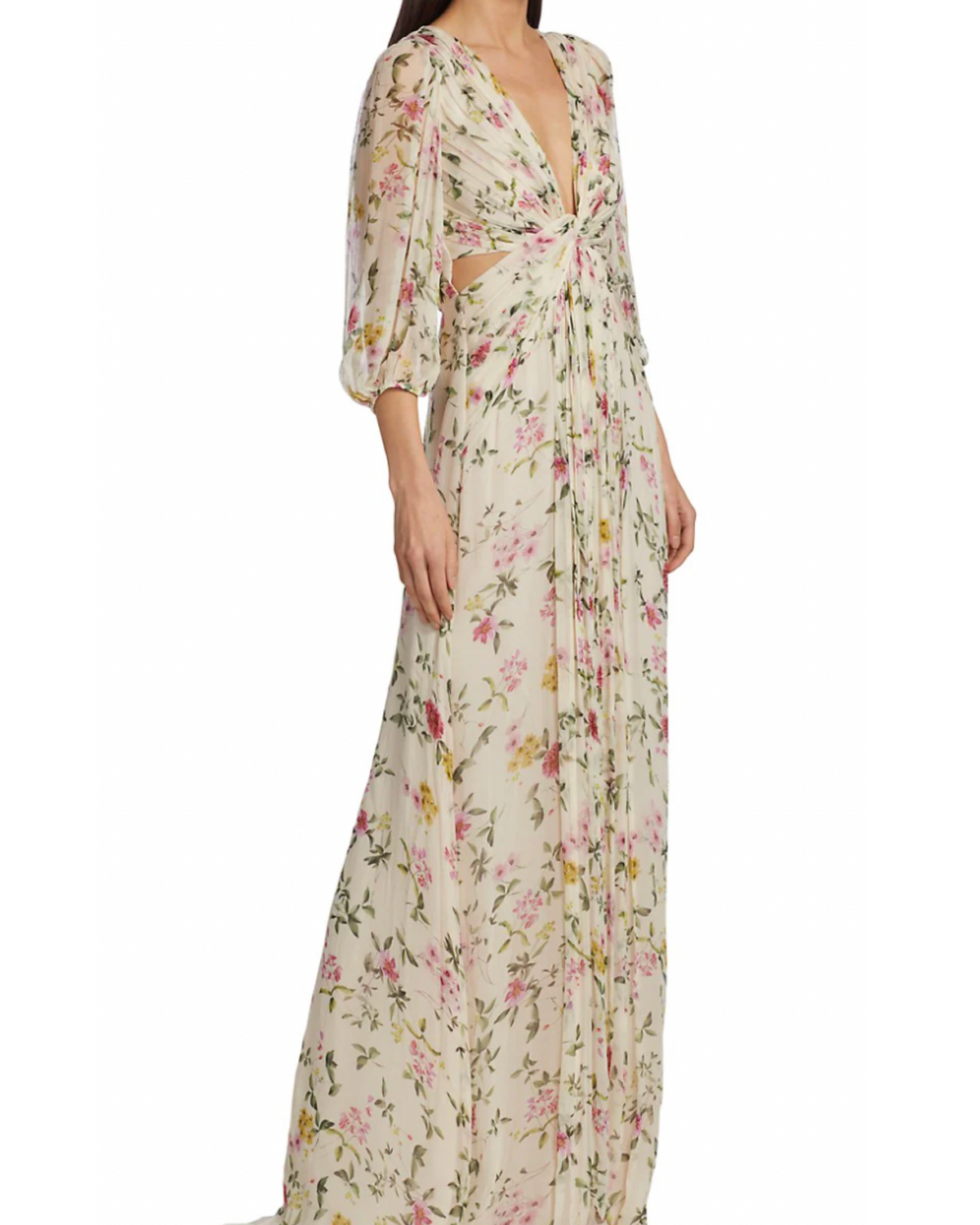 ML Monique Lhuillier Floral Chiffon Cut-Out Gown